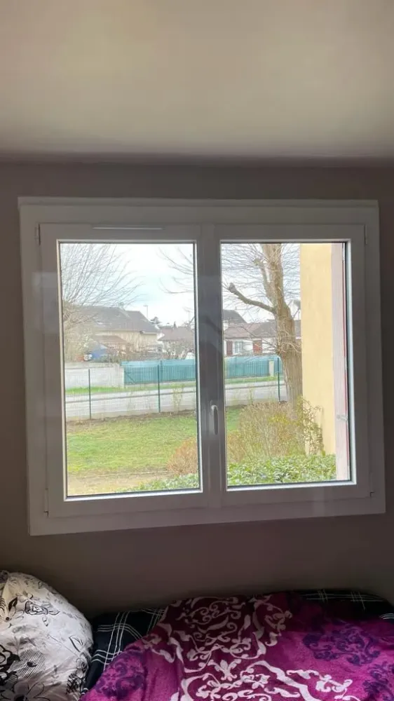 Fenetres (55)