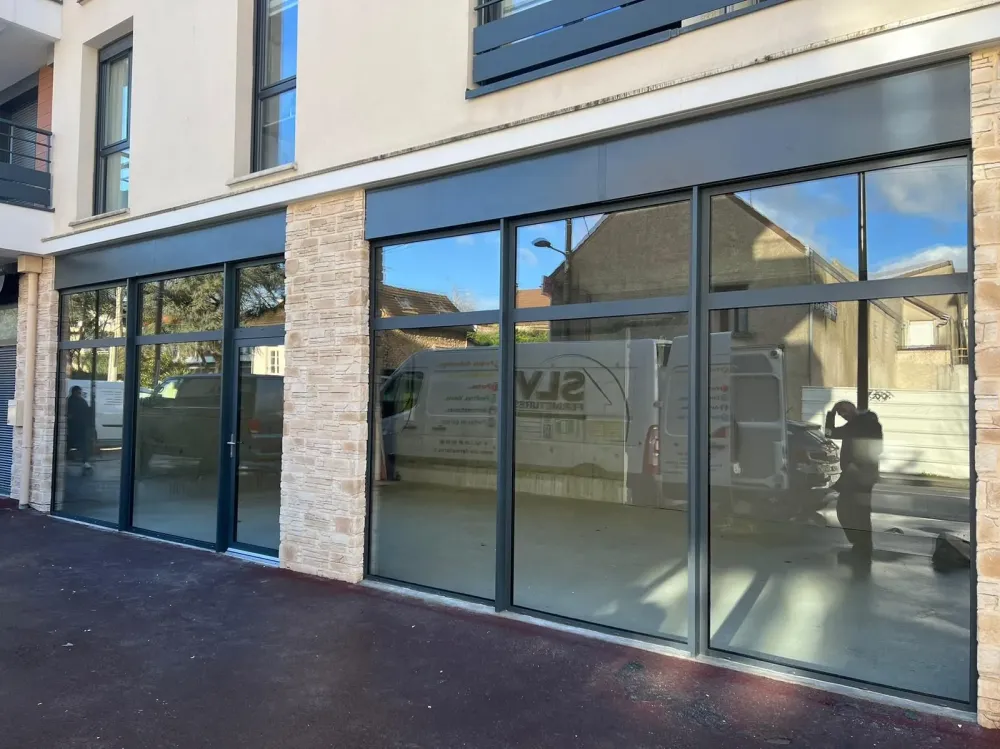 Fenetres (60)