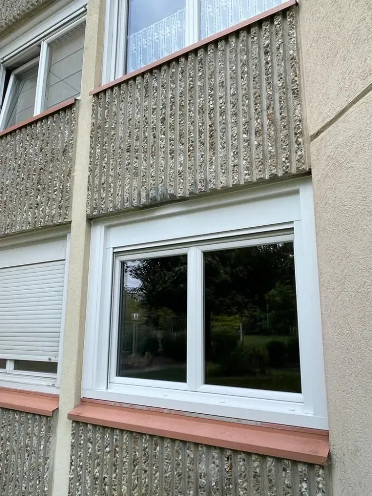 Fenetres (87)