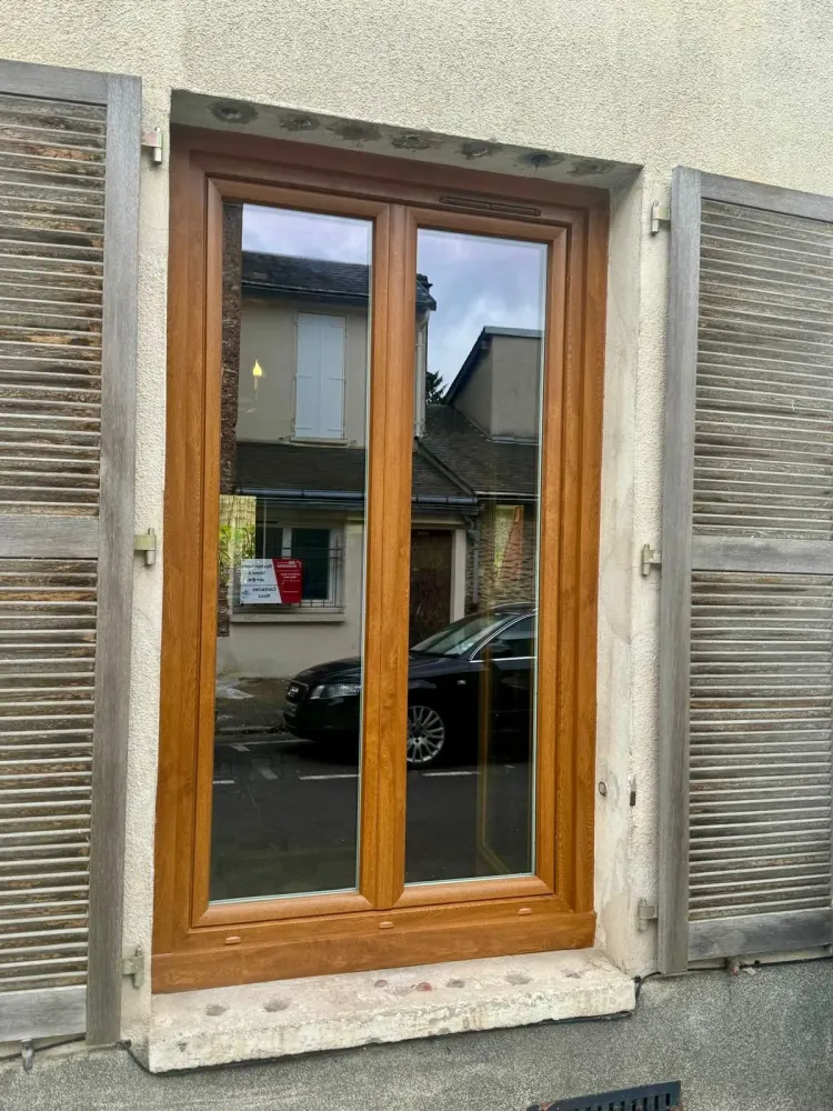 Fenetres (99)