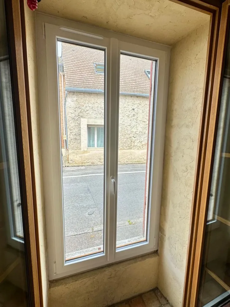 Fenetres (100)